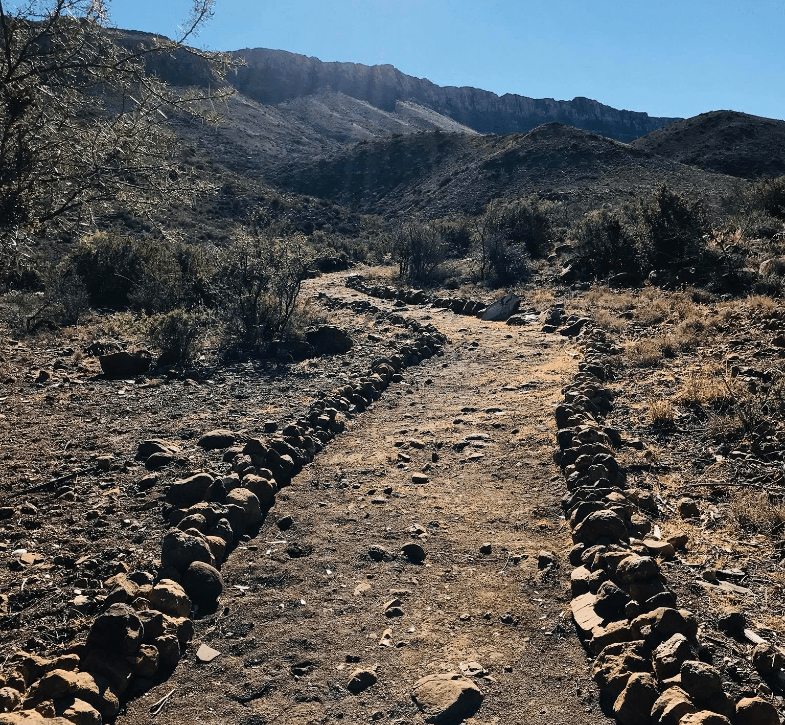 Dusty trail at Lemoenfontein
